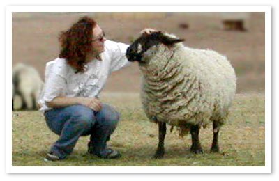 Marcie, the rescued sheep, eventually learned to trust humans again. Photo © Peaceful Prairie Sanctuary.