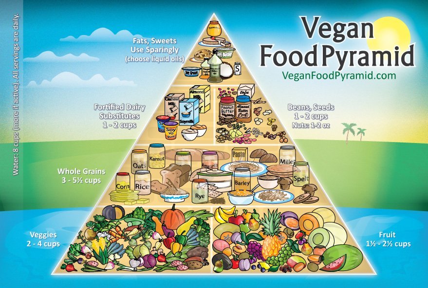 Vegan-Food-Pyramid-New-Joshua-Wold