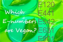 This easy-to-load list helps you identify vegan E-numbers while you shop.